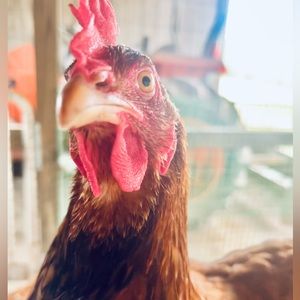 LOVE ME TO SAVE MY PAGE❤️